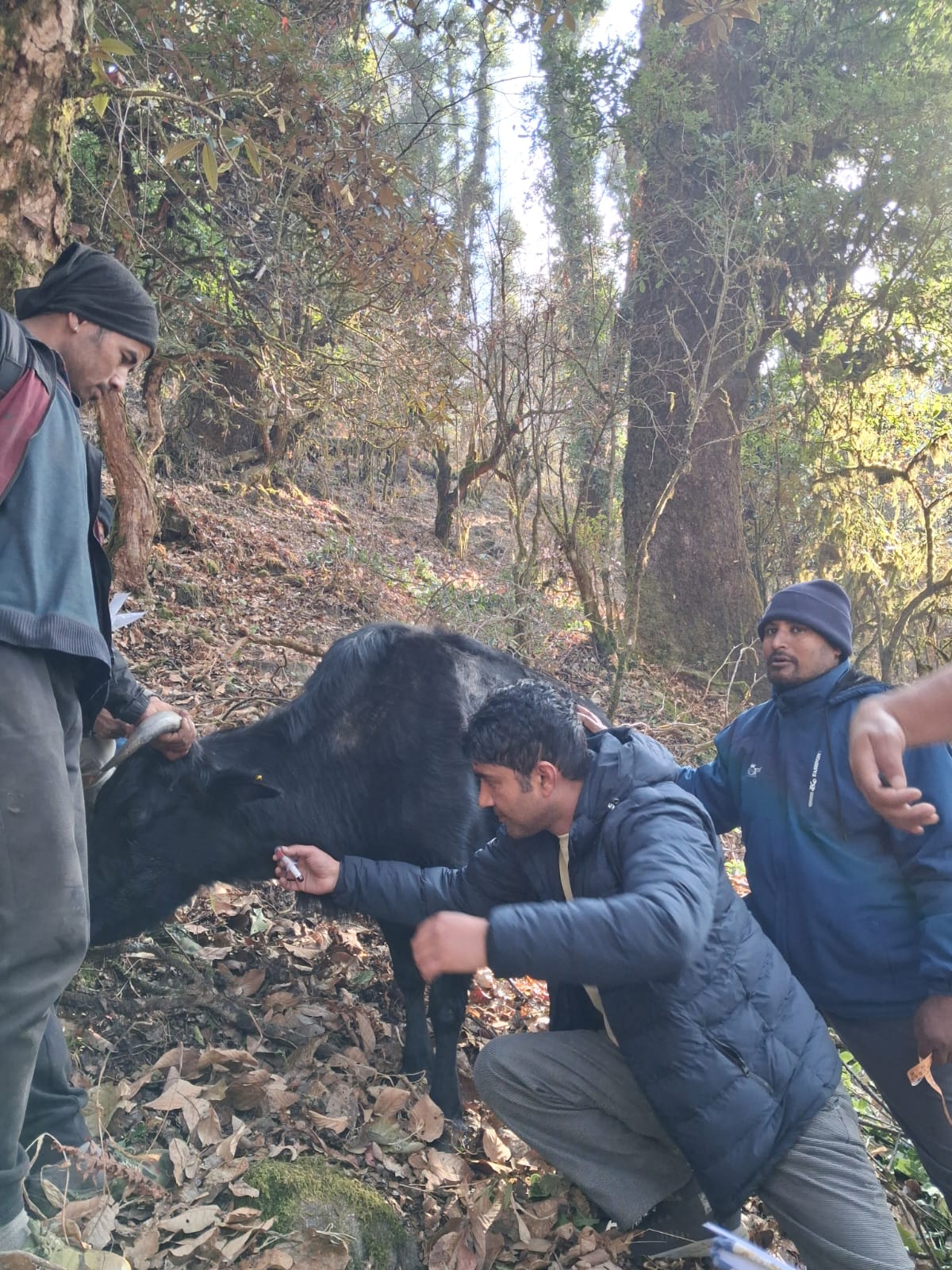 Slider Image: चौरीमा रगत निकाल्दै
